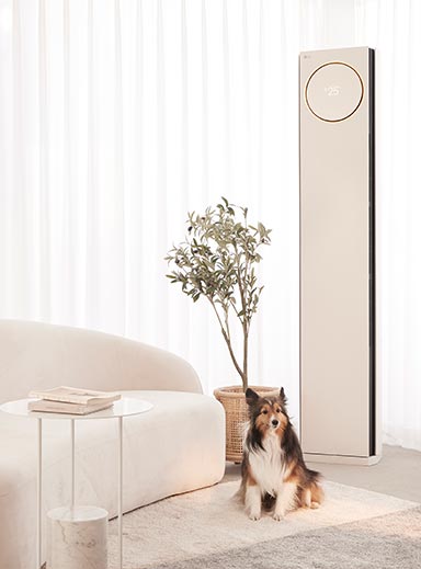 Juwan Cho<br />Duyong Bae